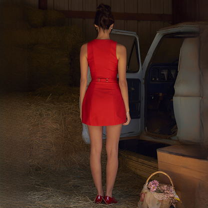Ellisia - Stylish sleeveless mini dress
